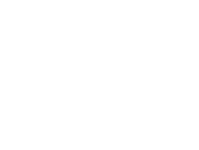 Logo BoostEmpire.xyz